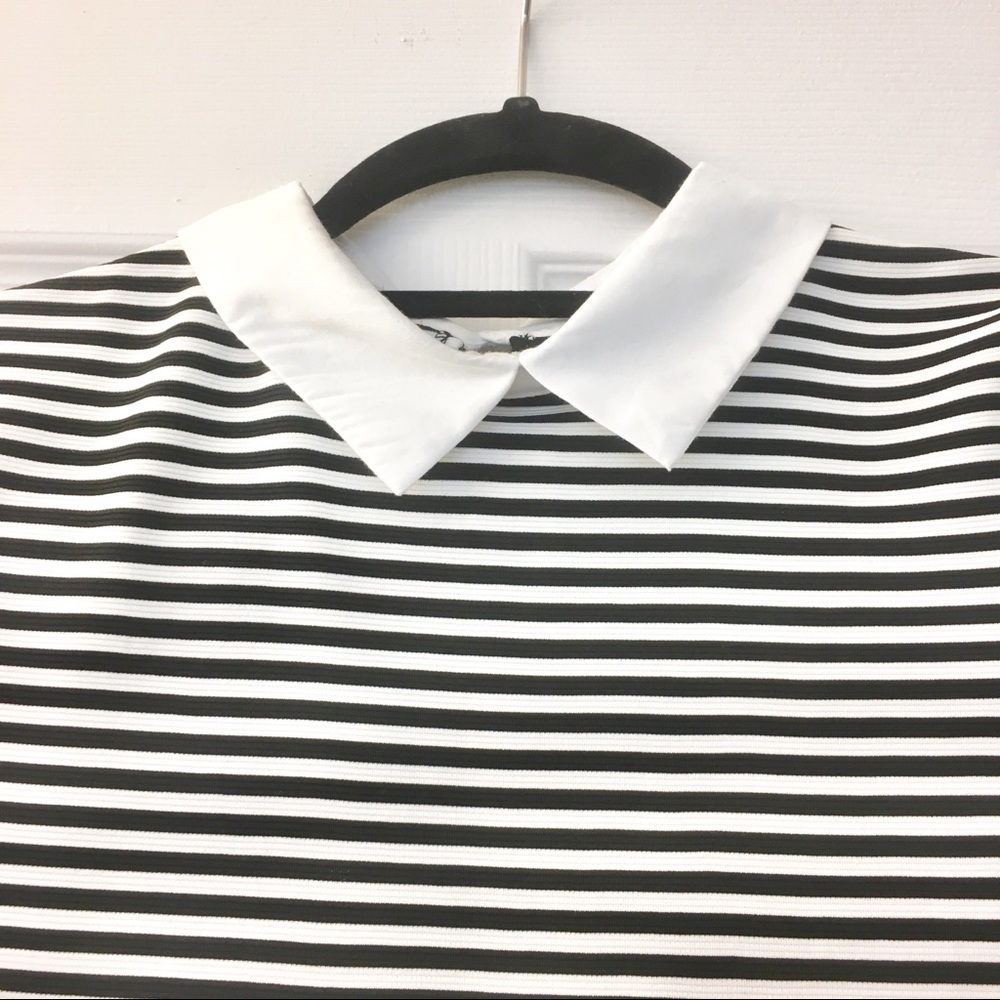 Zara Collar Dress - Black & While - Small - Picture 3 of 6